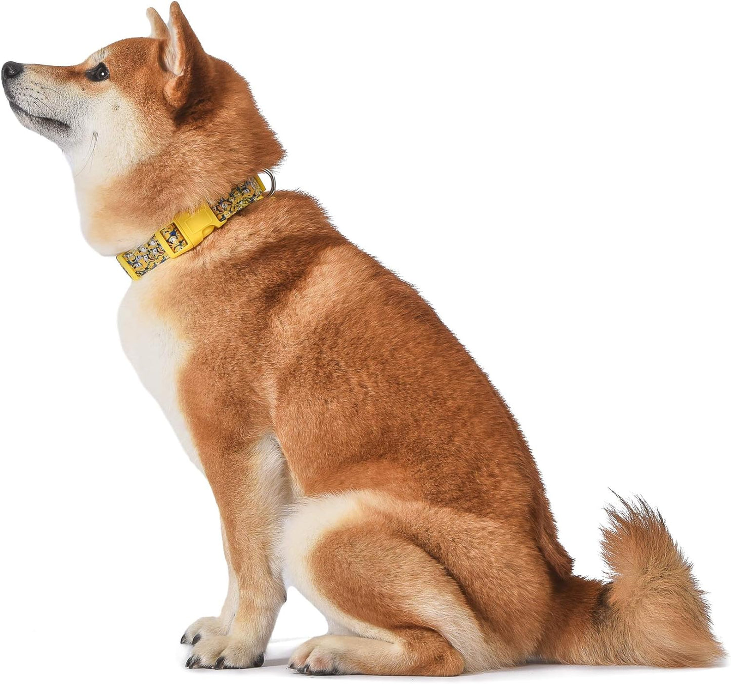 Dog Collar, Large, Yellow, More than a Minion| Gifts for Fans and Their Pets | Officially Licensed Pet Products from Universal Studios