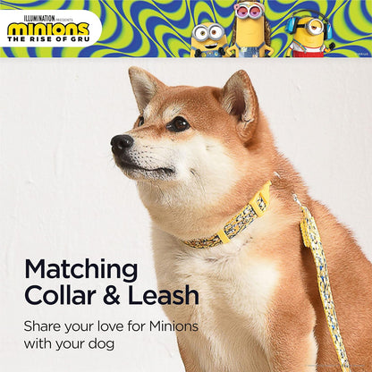 Dog Collar, Large, Yellow, More than a Minion| Gifts for  Fans and Their Pets | Officially Licensed Pet Products from Universal Studios